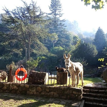Quinta Do Castanheiro Hotel Sintra Kültér fotó