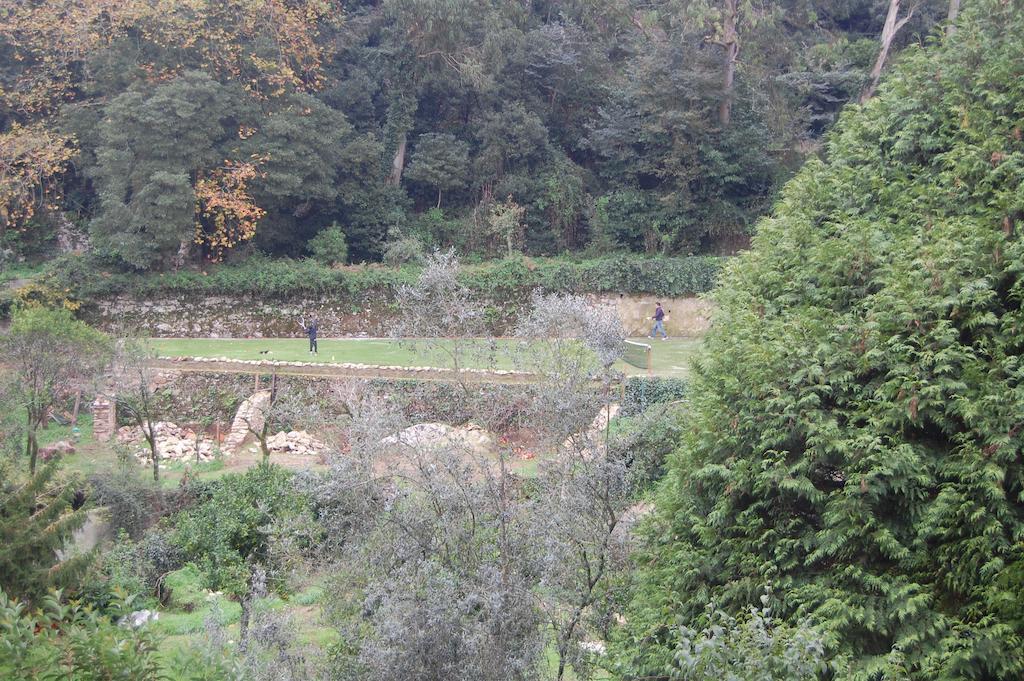 Quinta Do Castanheiro Hotel Sintra Kültér fotó