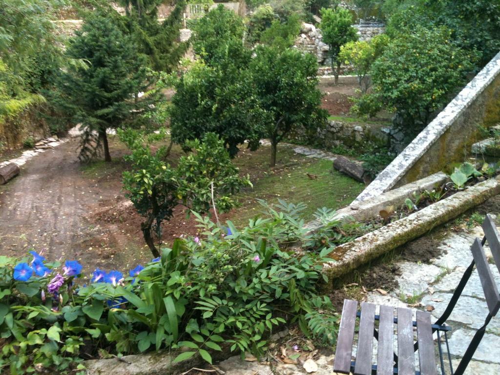 Quinta Do Castanheiro Hotel Sintra Kültér fotó