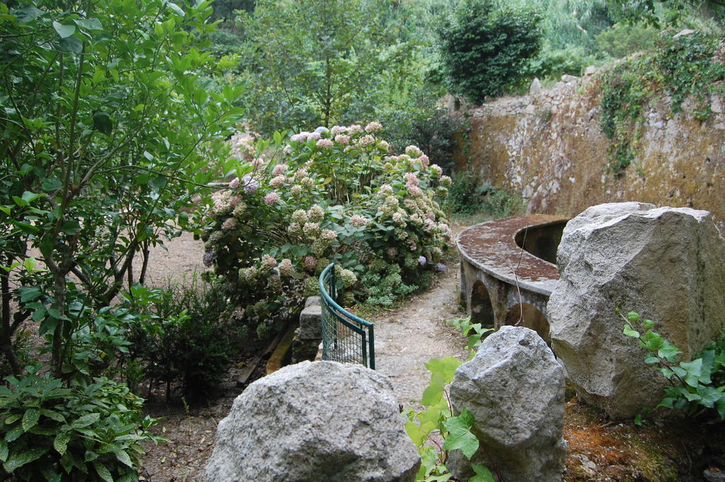 Quinta Do Castanheiro Hotel Sintra Kültér fotó