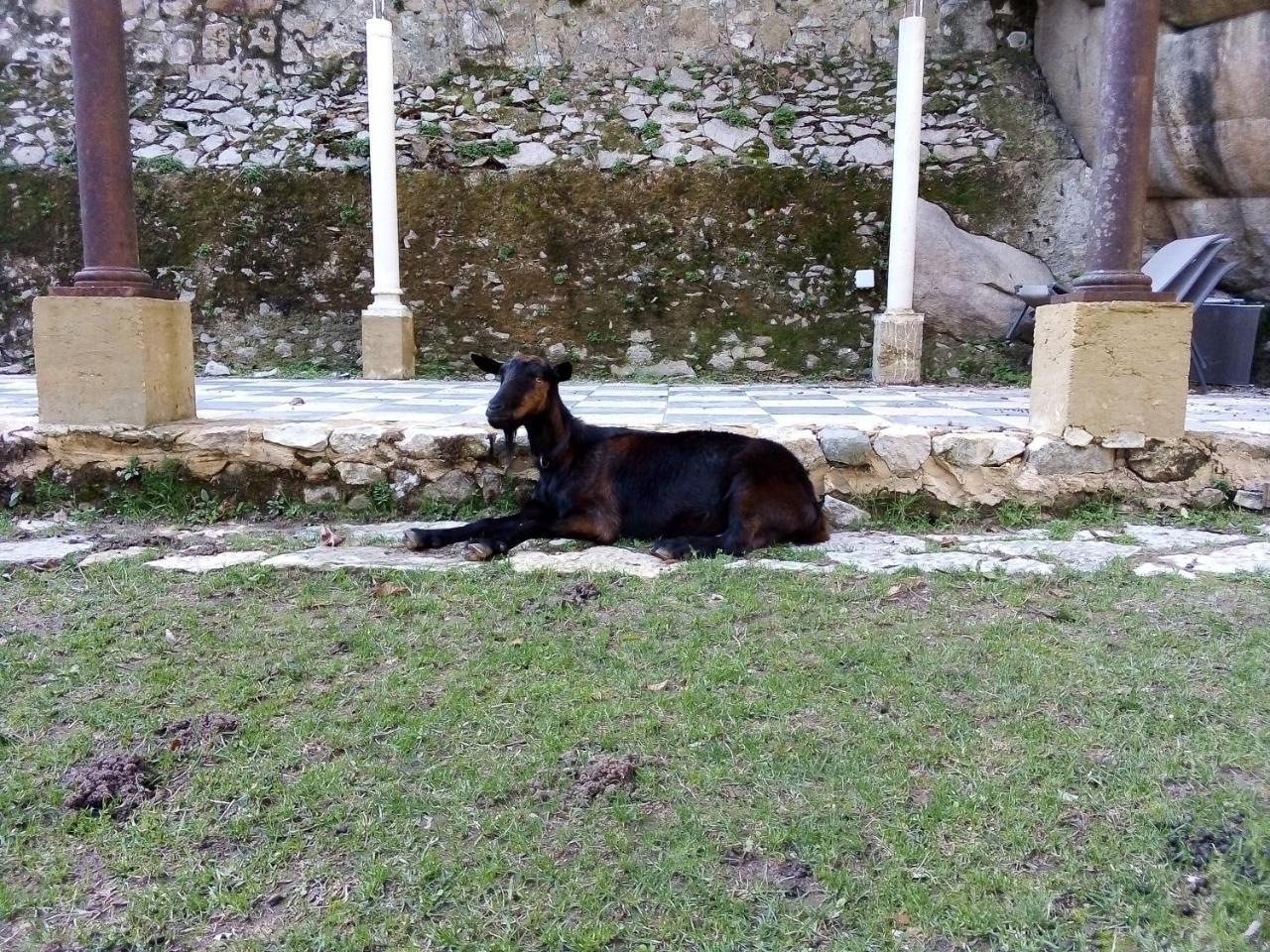 Quinta Do Castanheiro Hotel Sintra Kültér fotó